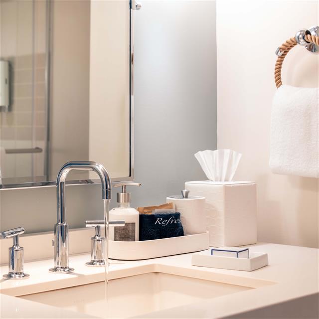 Bathroom with a stone vanity and tissues