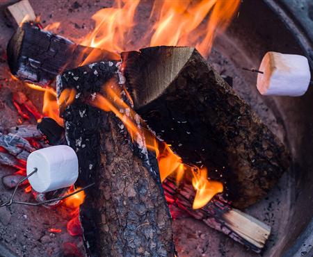 Fall S'mores